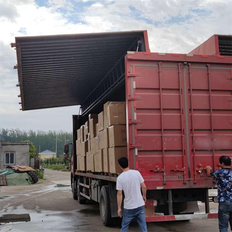 长丰镇扎囊县：物流专线的高效货运之旅