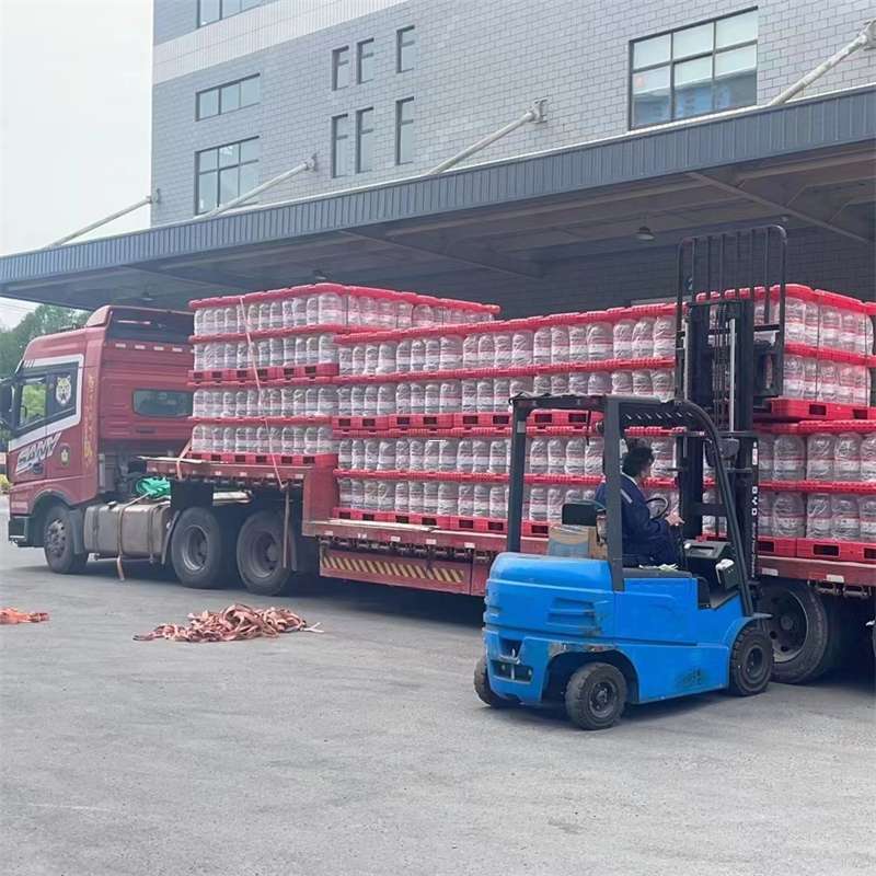 长丰镇探秘玉屏县多元物流服务与运输线路